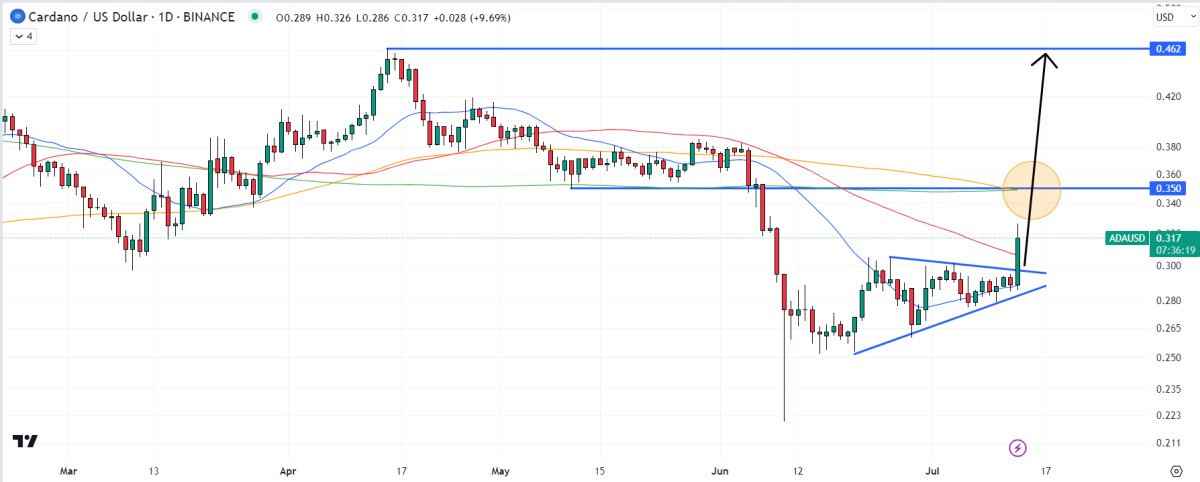 Cardano Price Prediction as ADA Breaks Above $0.30 Resistance Level – Here