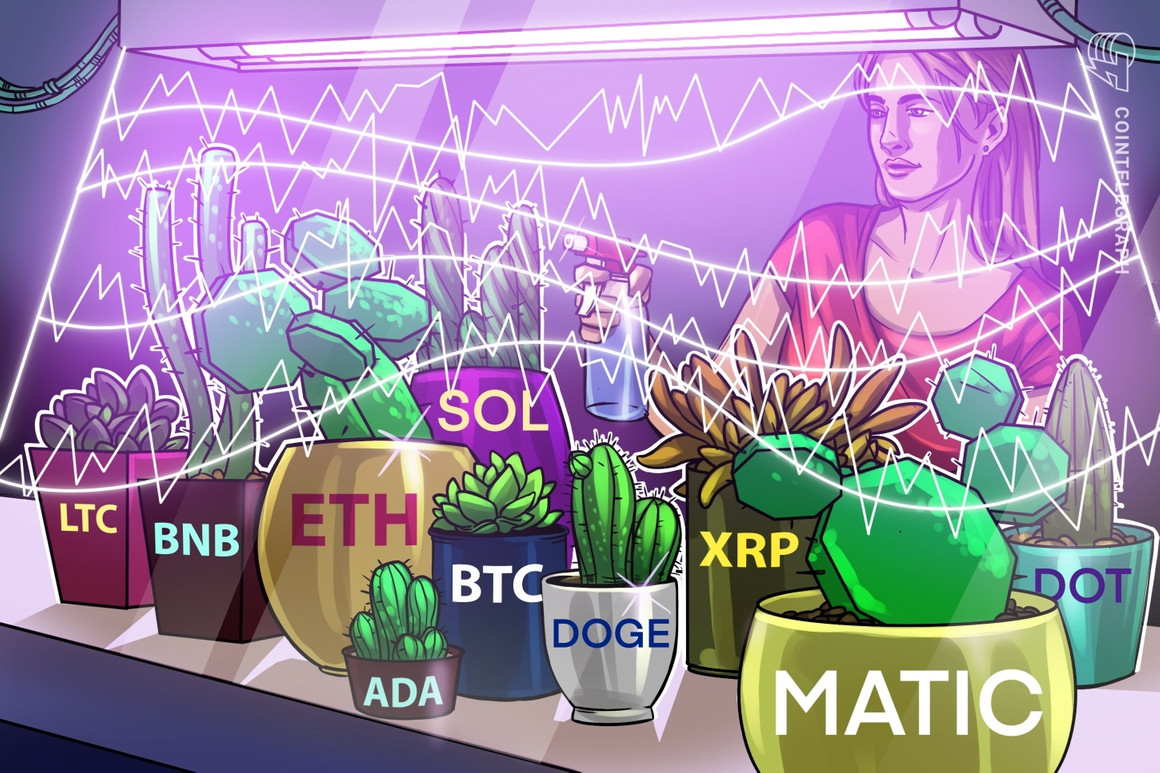 Price analysis 7/26: BTC, ETH, XRP, BNB, ADA, SOL, DOGE, MATIC, LTC, DOT