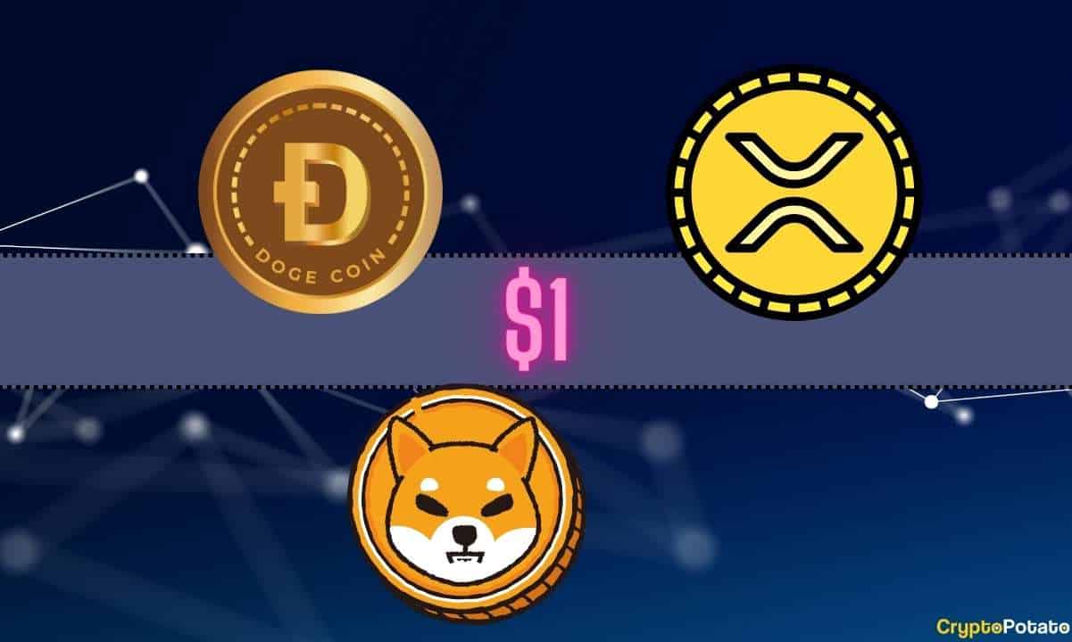 Ripple (XRP), Shiba Inu (SHIB), or Dogecoin (DOGE)?