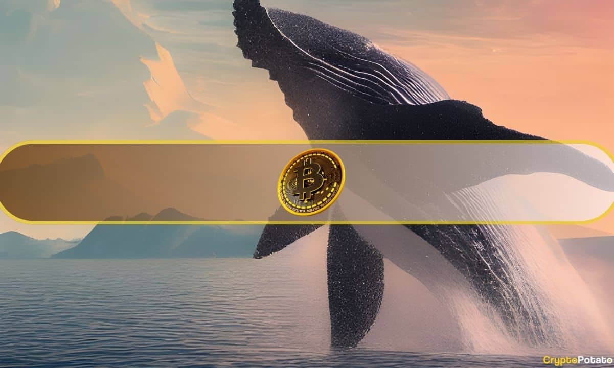 Dormant Bitcoin Whale Transfers $137 Million in BTC After 4 Years