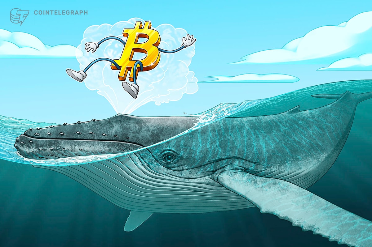 BTC price levels to watch as Bitcoin whales ‘lure’ market to $42K