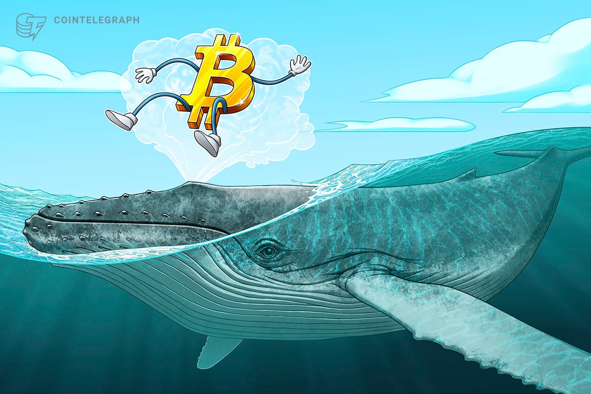 Bitcoin whales not selling despite $70K — BTC holdings growth ‘is going parabolic’