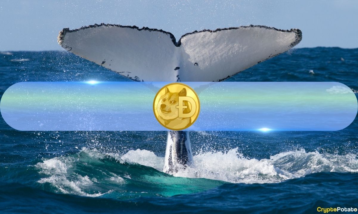 Dogecoin Whales Scoop Up 700 Million DOGE in 72 Hours