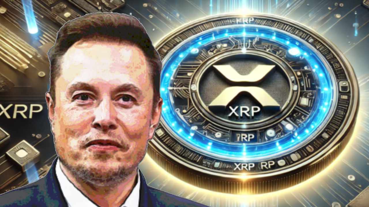 Tesla CEO Elon Musk Highlights XRP and Crypto Potential Amid Regulatory Heat