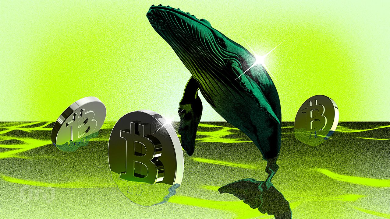 Bitcoin Whales Hit Peak Accumulation as Smaller Holders Shift to Selling