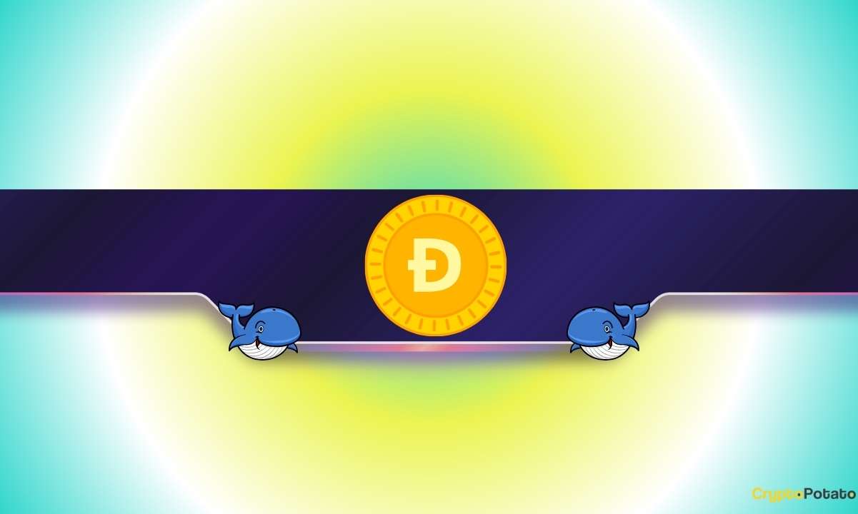 What Are Dogecoin Whales Preparing for?